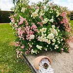 Sun Garden * Čitluk