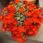 펜션 Sun Garden 키트루크