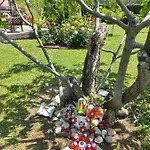 Дом отдыха Sun Garden