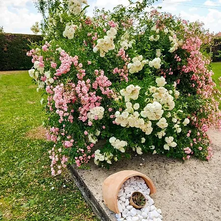 Sun Garden * Čitluk