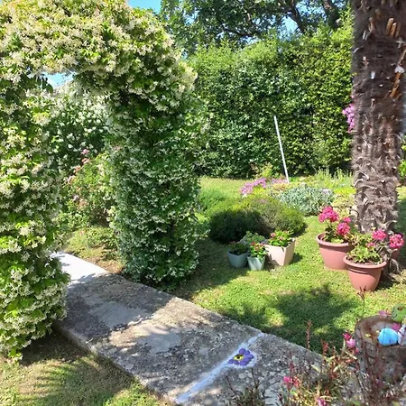 Sun Garden *