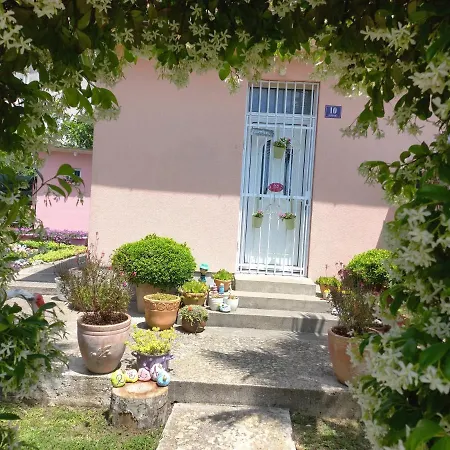 Sun Garden