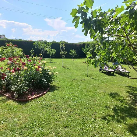 Sun Garden Holiday home *