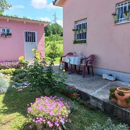 Sun Garden * Citluk