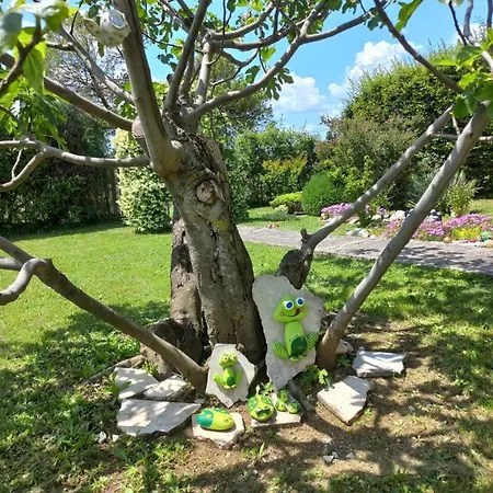 Sun Garden *