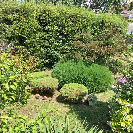 Sun Garden