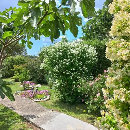 Sun Garden Citluk
